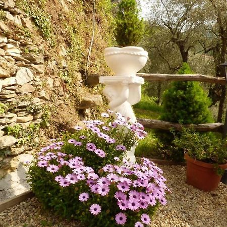 Casa Vacanze Sole Borghetto d'Arroscia Exteriér fotografie