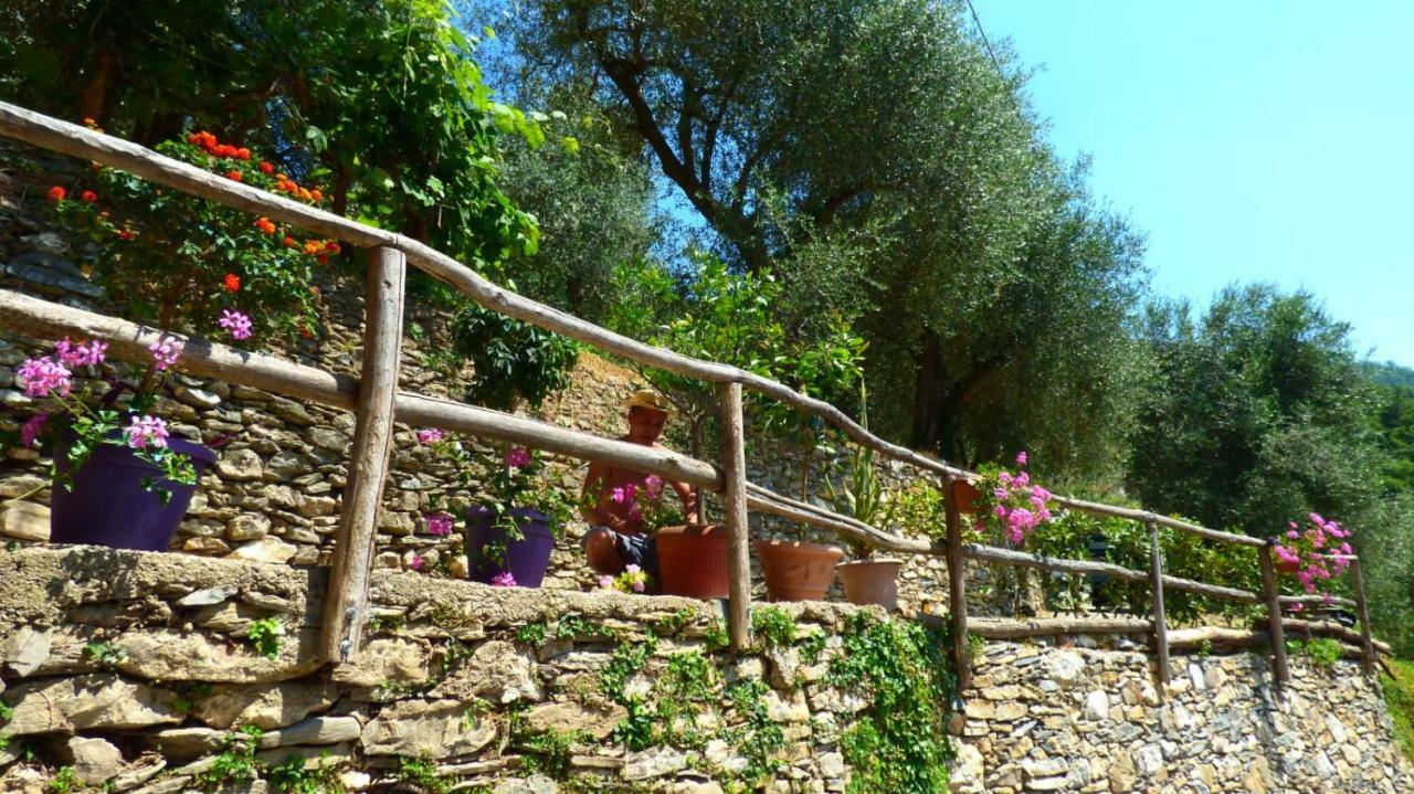 Casa Vacanze Sole Borghetto d'Arroscia Exteriér fotografie